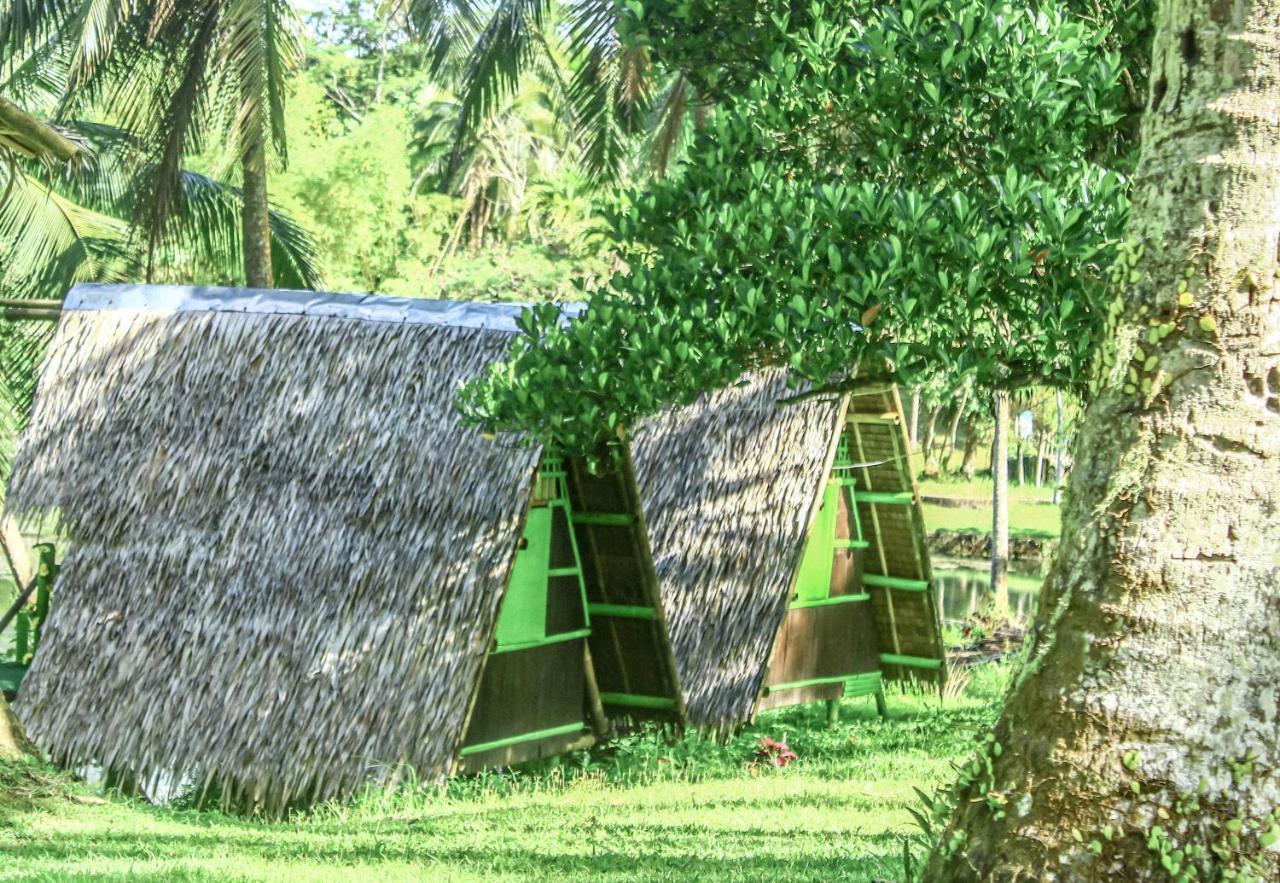 Caliraya Ecoville Recreation And Farm Resort Cavinti Kültér fotó