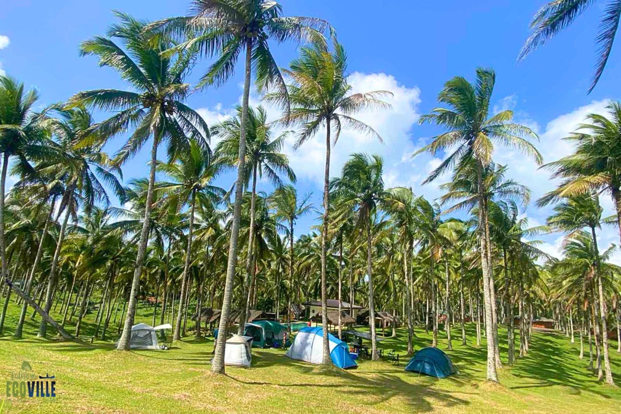 Caliraya Ecoville Recreation And Farm Resort Cavinti Kültér fotó